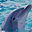 Smart Dolphins Free Screensaver icon
